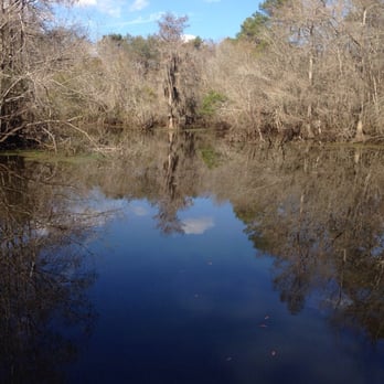 Reed Bingham State Park - Parks Near Me - Adel, Georgia