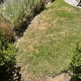 Dead grass AFTER the service