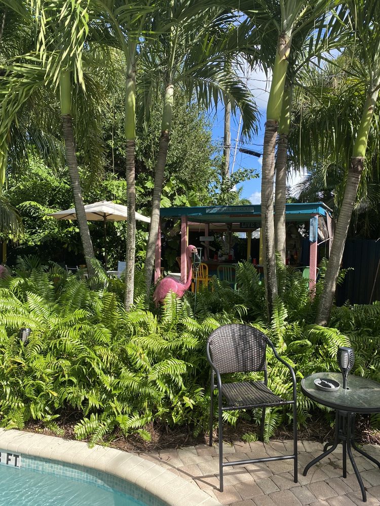 CALYPSO INN Updated September 2024 17 Photos & 13 Reviews 2520 NE 6th Ave, Wilton Manors