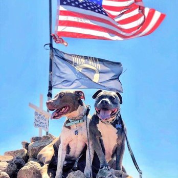 Devotion To Dogs - Pet Training Near Me - El Cajon, California