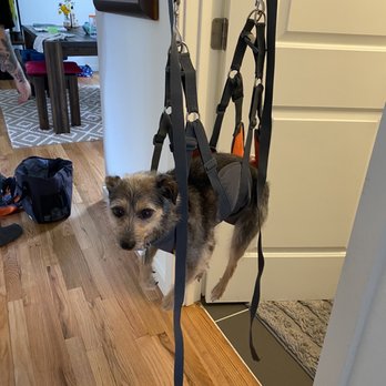Universe Dog Pros - Dog Walkers Near Me Universe Dog Pros - Dog Walkers Near Me