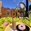 Grounds & Hounds gift card