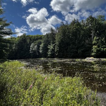 Arrowhead Provincial Park - Beautiful pond - Parks Near Me - Huntsville, Ontario