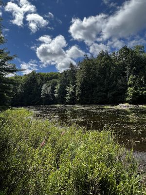 Arrowhead Provincial Park by null