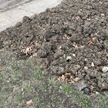 Blue Dot Heating, Air, Plumbing & Electrical - Front yard - Plumbing Near Me - Topeka, Kansas