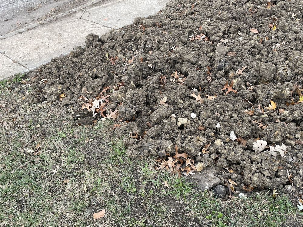 Slide of Blue Dot Heating, Air, Plumbing & Electrical