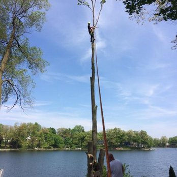 Elliott's Tree Care - Tree Services Near Me