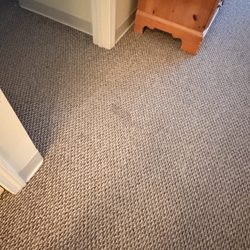 Golden Eagle Lodge - Stain on carpet
