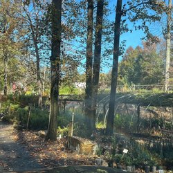 Twin Branch Nursery & Landscape