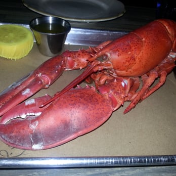 The Ordinary - Larry (the lobster). He was delicious. - Seafood Near Me - Charleston, South Carolina The Ordinary - Larry (the lobster). He was delicious. - Seafood Near Me - Charleston, South Carolina