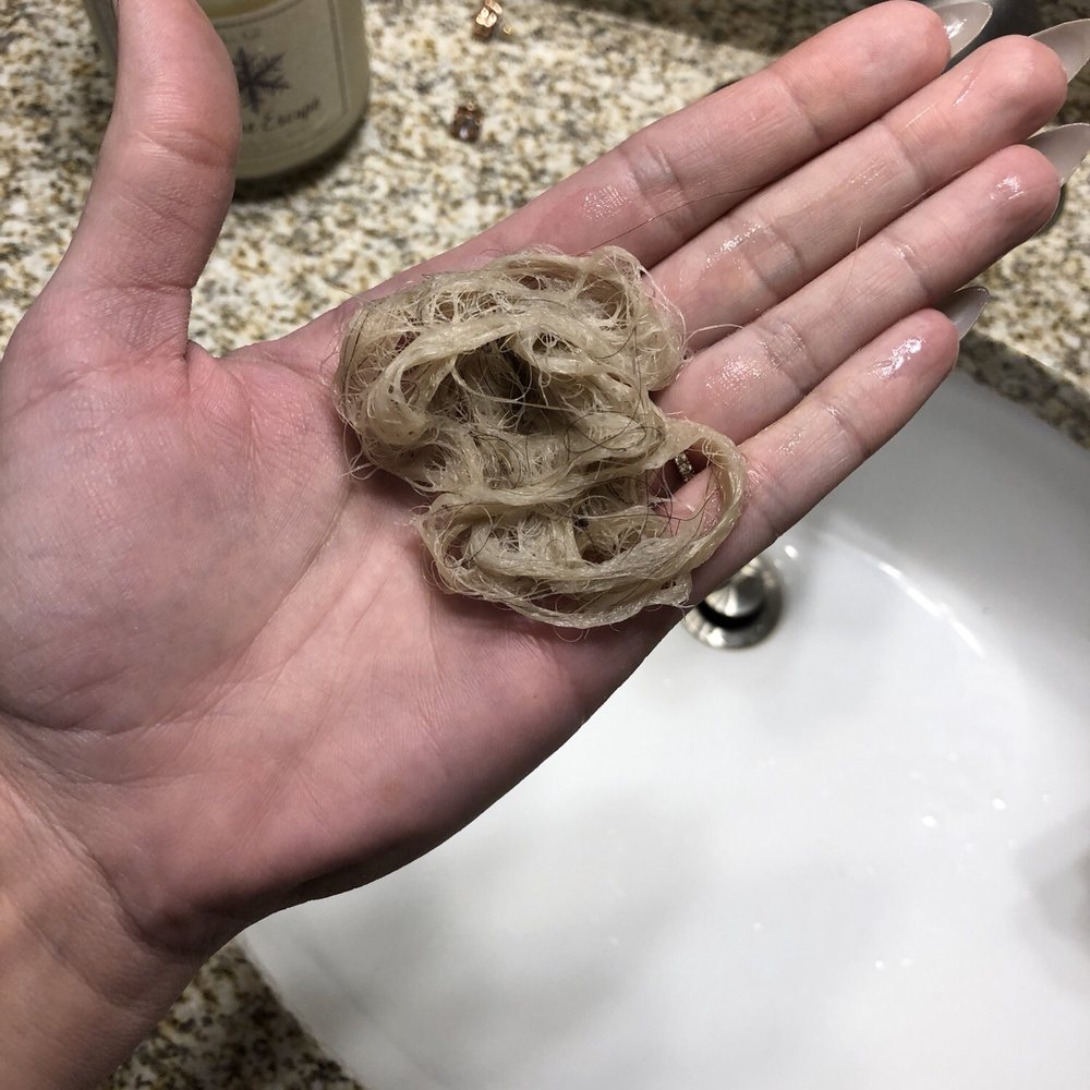 Neroli Salon & Spa - Horrible experience!! BEWARE!! - Hair Extensions Near Me - Glendale, Wisconsin Neroli Salon & Spa - Horrible experience!! BEWARE!! - Hair Extensions Near Me - Glendale, Wisconsin