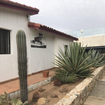 Valley Girl Wine Tours - Wine Tours Near Me
