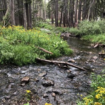 Coldwater Creek Campground - Creek running along the campground - Campgrounds Near Me - Mammoth Lakes, California Coldwater Creek Campground - Creek running along the campground - Campgrounds Near Me - Mammoth Lakes, California