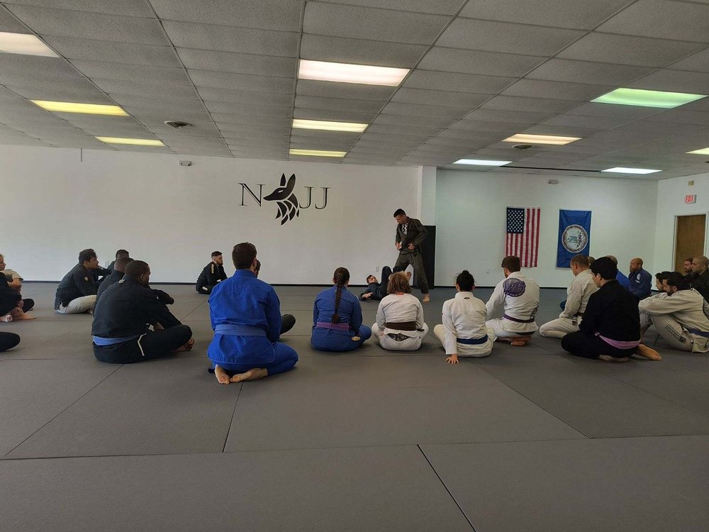Nexus American Jiu Jitsu Logo