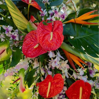 Jacob Maarse Florist - Florists Near Me - Pasadena, California