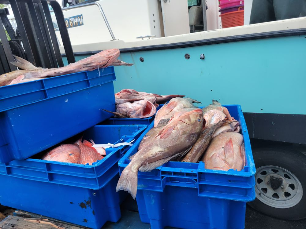 CAPT. J’S GULF SEAFOOD 6341 Metro Plantation Rd, Fort Myers, Florida