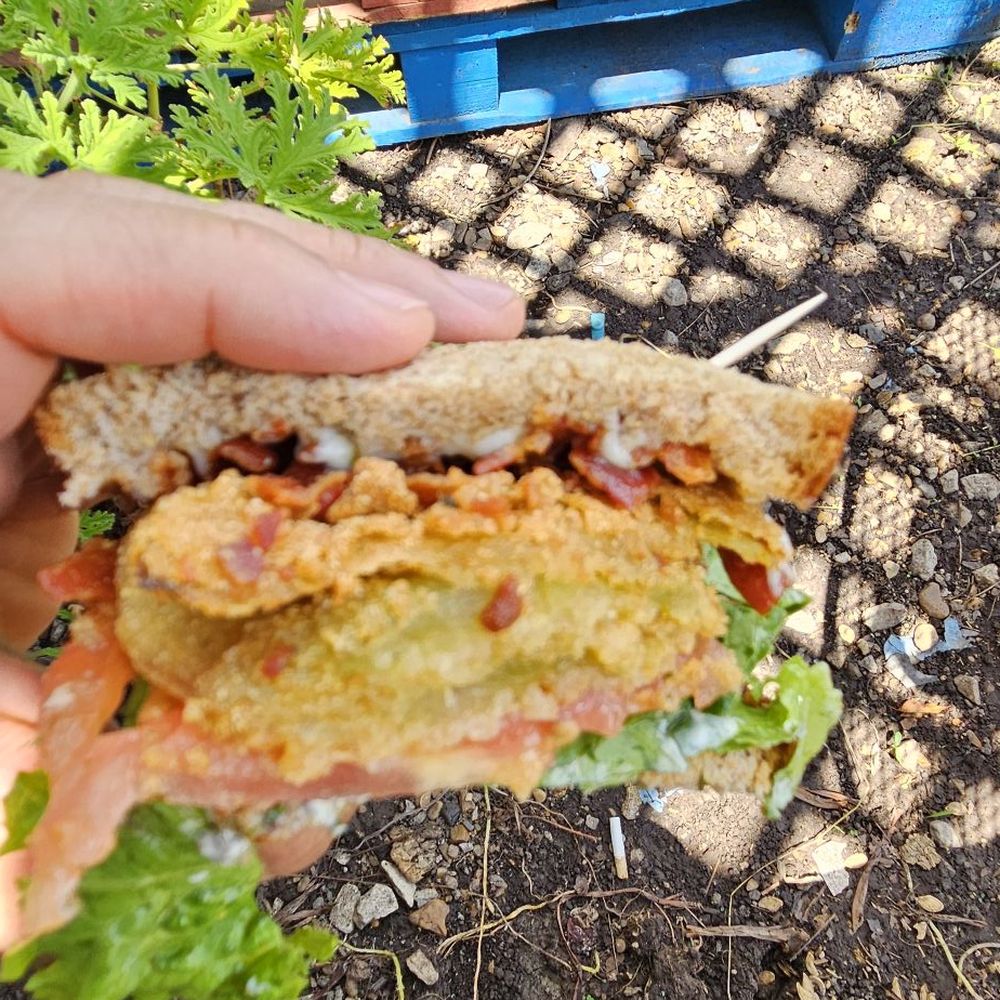 Fried Green Tomato BLT Sandwich Fried Green Tomato BLT Sandwich