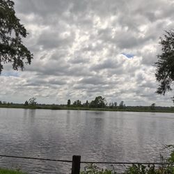 Mepkin Abbey