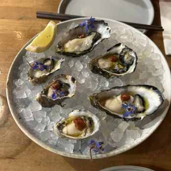 Crudo e Nudo - Oysters - Seafood Near Me - Santa Monica, California