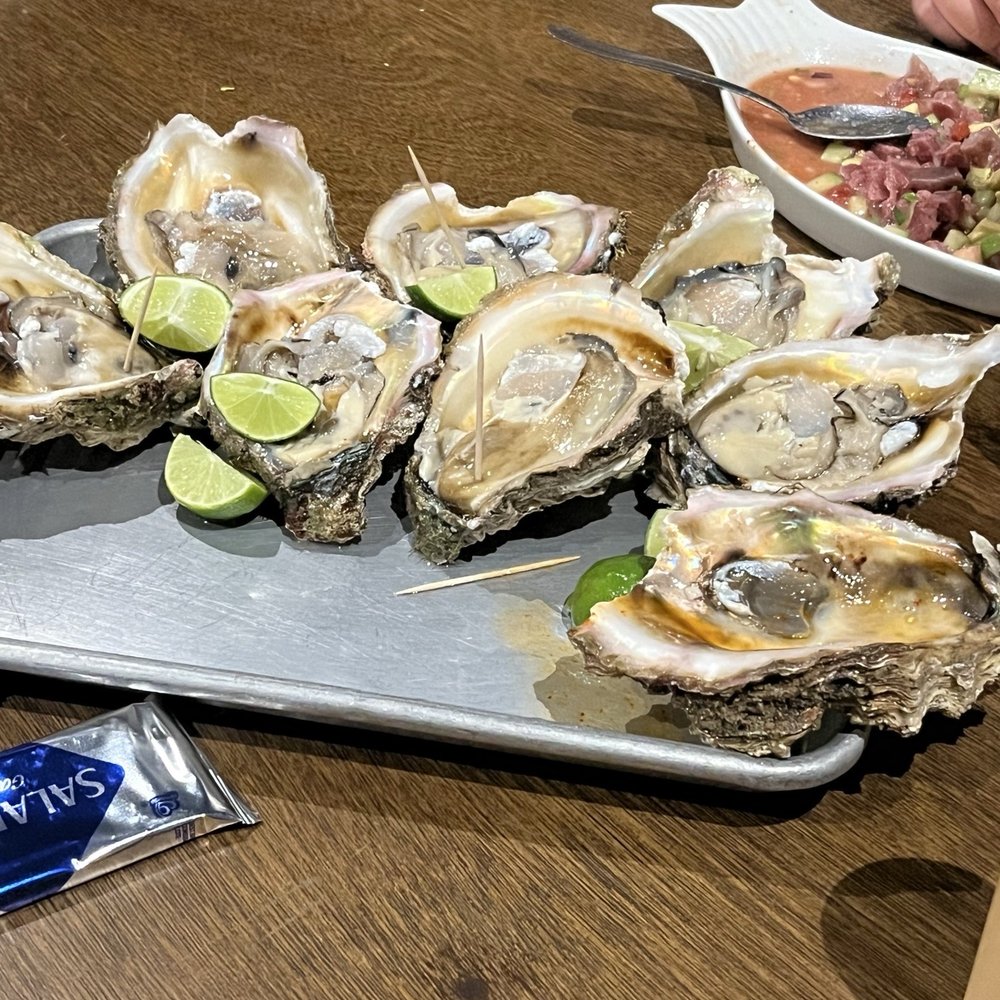 Oysters, Yummy Oysters, Yummy