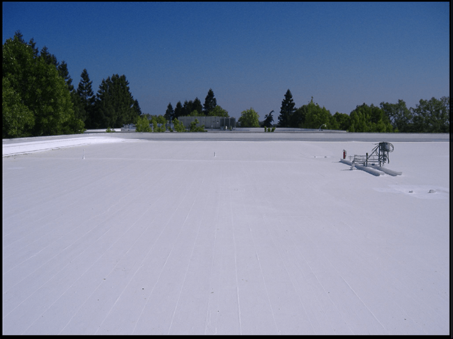 Slide of Just Leaks Inc