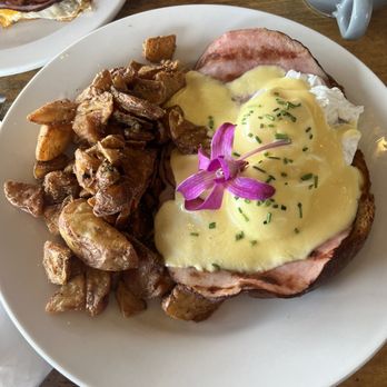 Island Lava Java - Island Eggs Benedict - American Near Me - Kailua Kona, Hawaii Island Lava Java - Island Eggs Benedict - American Near Me - Kailua Kona, Hawaii