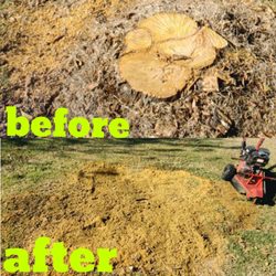 Ochoa’a General Contracting - Stump removal