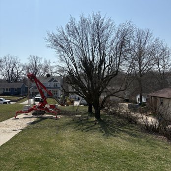 Timberland Tree Service - Before and after - Tree Services Near Me - Maryland Heights, Missouri Timberland Tree Service - Before and after - Tree Services Near Me - Maryland Heights, Missouri