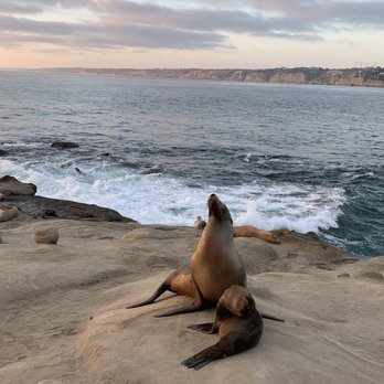 La Jolla Cove - Parks Near Me - La Jolla, California La Jolla Cove - Parks Near Me - La Jolla, California