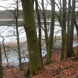 Laufpark Am Lübbesee