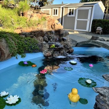Creative Falls - Landscaping Near Me - Elk Grove, California