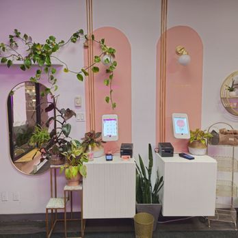 Mon Biscuit - a room with plants and a mirror - Desserts Near Me - Brossard, Quebec Mon Biscuit - a room with plants and a mirror - Desserts Near Me - Brossard, Quebec