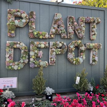 PLANT DEPOT - Updated June 2026 - 782 Photos & 360 Reviews - 32413 San Juan  Creek Rd, San Juan Capistrano, California - Nurseries & Gardening - Phone  Number - Yelp