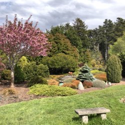 Therapeutic Massage by Paul Maeding - Part of the garden