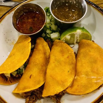 Wild Cactus Cantina & Grill - Mexican Near Me - Denton, Texas