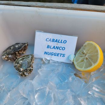 Tomales Bay Oyster Company - Caballo blanco nuggets - Seafood Markets Near Me - Marshall, California Tomales Bay Oyster Company - Caballo blanco nuggets - Seafood Markets Near Me - Marshall, California