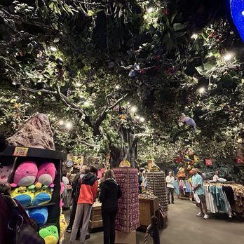 Rainforest Cafe - American Near Me - Galveston, Texas Rainforest Cafe - American Near Me - Galveston, Texas