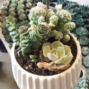 Pigment - Home Decor Near Me - San Diego, California