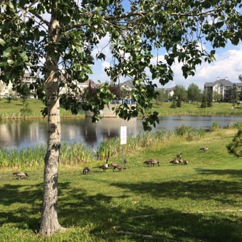Millwoods Town Centre Pond - Lakes Near Me - Edmonton, Alberta Millwoods Town Centre Pond - Lakes Near Me - Edmonton, Alberta