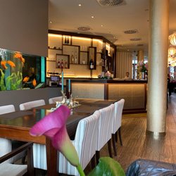Yee Chino Restaurant - Selten so ein sauberes Aquarium in Restaurants gesehen