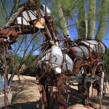 Terry Shelton Photo - Heather's Horse. Location, Paradise Valley-Tatum, just South of Lincoln. - Event Photography Near Me - Phoenix, Arizona Terry Shelton Photo - Heather's Horse. Location, Paradise Valley-Tatum, just South of Lincoln. - Event Photography Near Me - Phoenix, Arizona