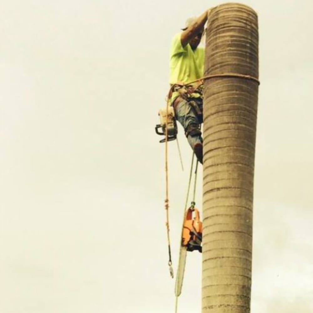 Polyscapes - tree service in Honolulu, HI