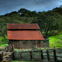 Old Borges Ranch - The barn at Old Borges Ranch, spring colors.