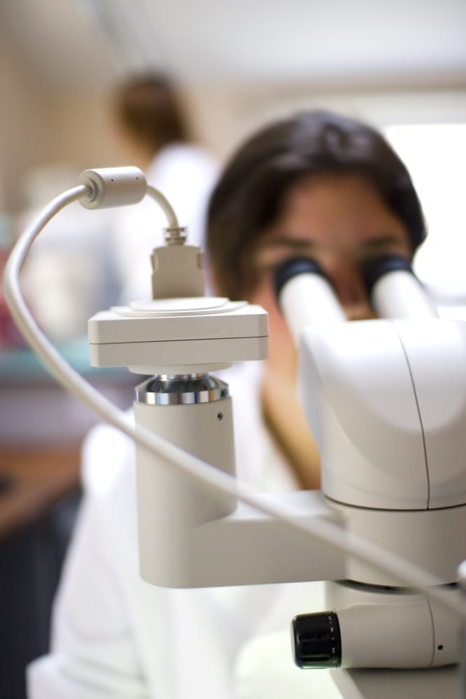 NORTHLAND LABS Updated September 2024 1030 Parkview Rd, Green Bay