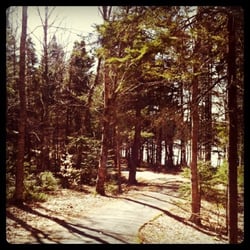 Cranberry Lake Trails