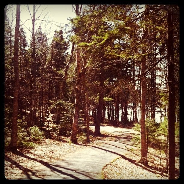 Cranberry Lake Trails