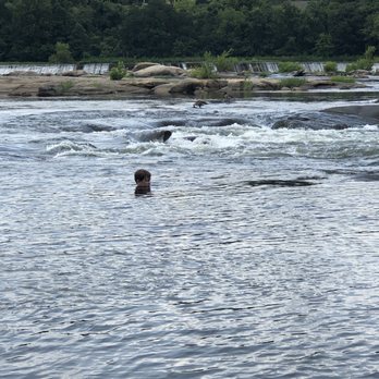 Belle Isle - Parks Near Me - Richmond, Virginia