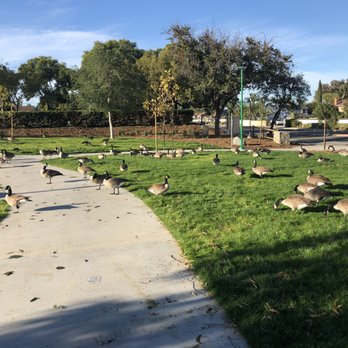 Veterans Park - Parks Near Me - Lake Forest, California