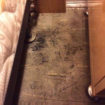 The Green Company - Spot left on the floor after it was mopped. I got it up later with a small amount of elbow grease, which means anyone could have - Office Cleaning Near Me - Detroit, Michigan
