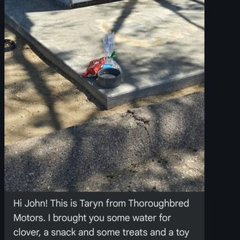 Thoroughbred Motors - Kind message sent by Taryn of Thoroughbred Motors. - Auto Repair Near Me - Ramona, California Thoroughbred Motors - Kind message sent by Taryn of Thoroughbred Motors. - Auto Repair Near Me - Ramona, California